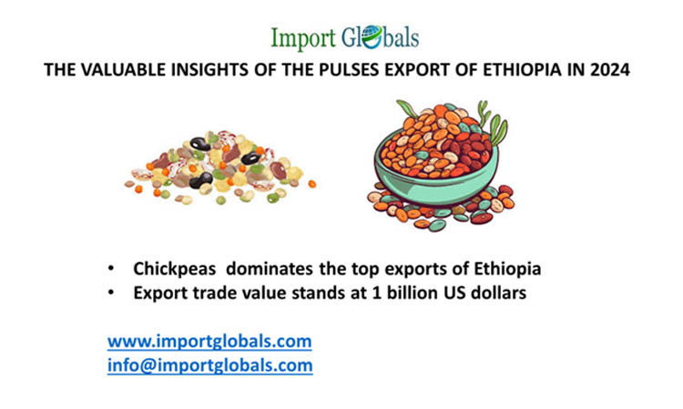 The Valuable Insights of the Pulses Export of Ethiopia in 2024