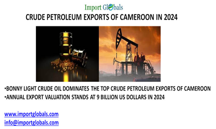 Crude Petroleum Exports of Cameroon: Key Insights of the Top Trade Partners