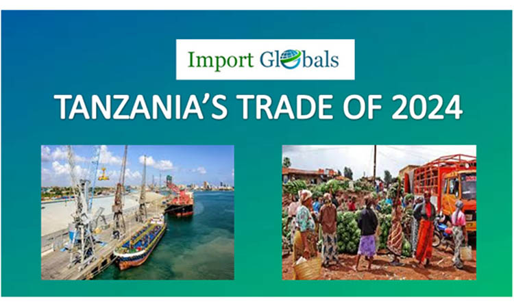 Tanzania’s Trade of 2024: Avail the Latest Trends and Strategies Regarding Shipments