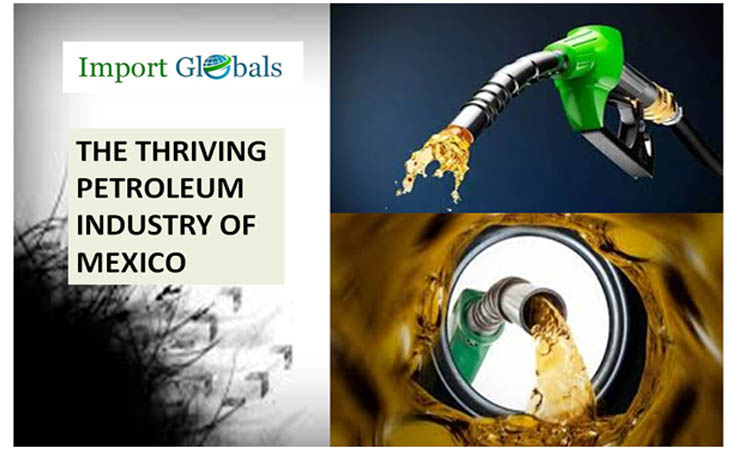 The Thriving Petroleum Industry of Mexico: (2024 Trade Sheet: The Brief Information of the Top Trade Partners)